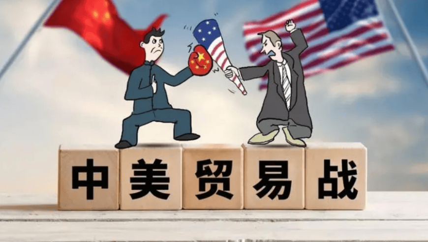 澳门精准四肖八码期准免费官方APP,王楚钦：与张本智和从小打到大,创造力策略实施推广_户外版V10.26